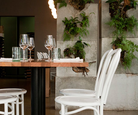 Café Culture and Cotton Duck