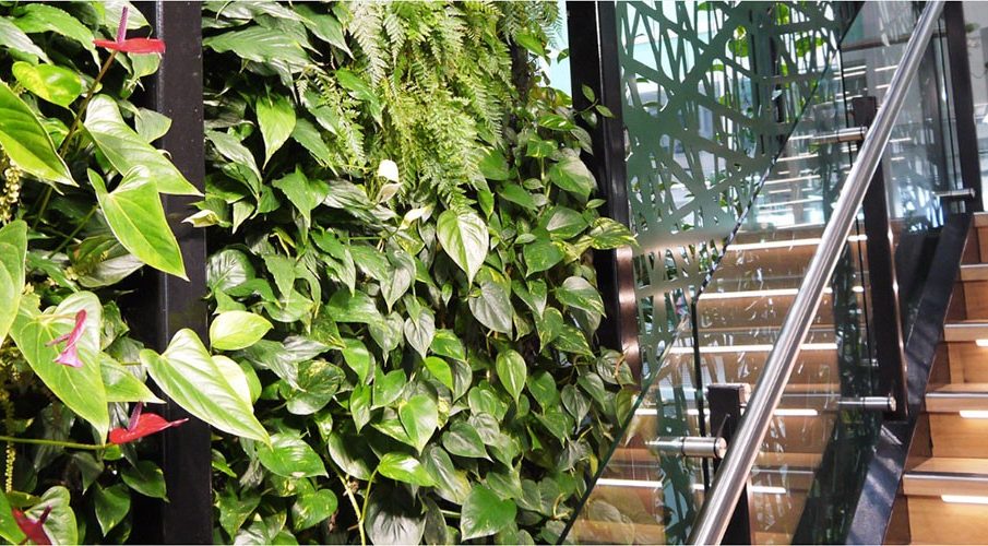 Fytogreen
